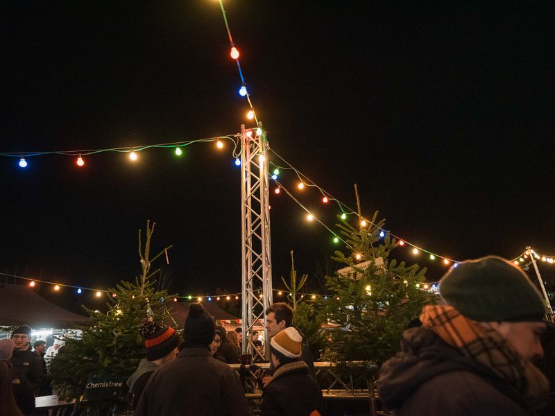Fairy lights and christmas trees